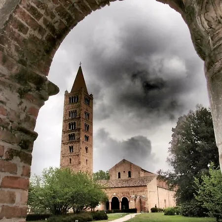 Logonovo
