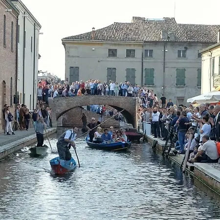 Logonovo *