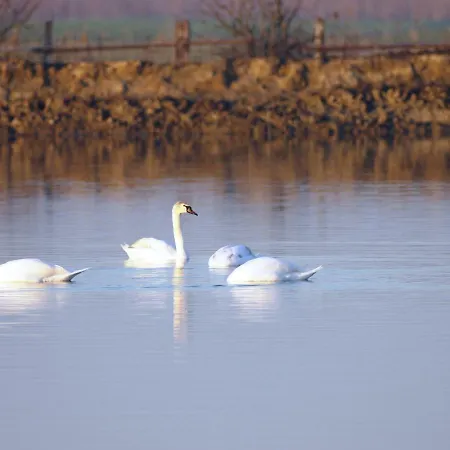 Apartamento Logonovo Lido di Spina