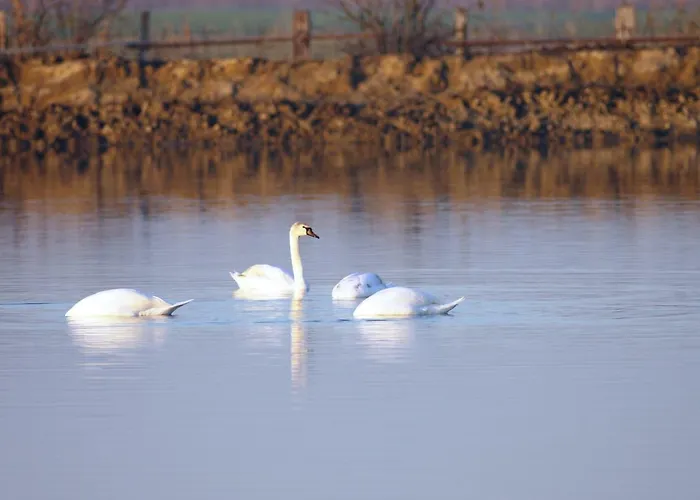 דירה Logonovo לידו דה ספינה